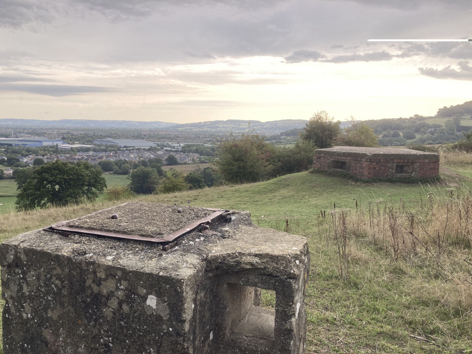 Nut Hill